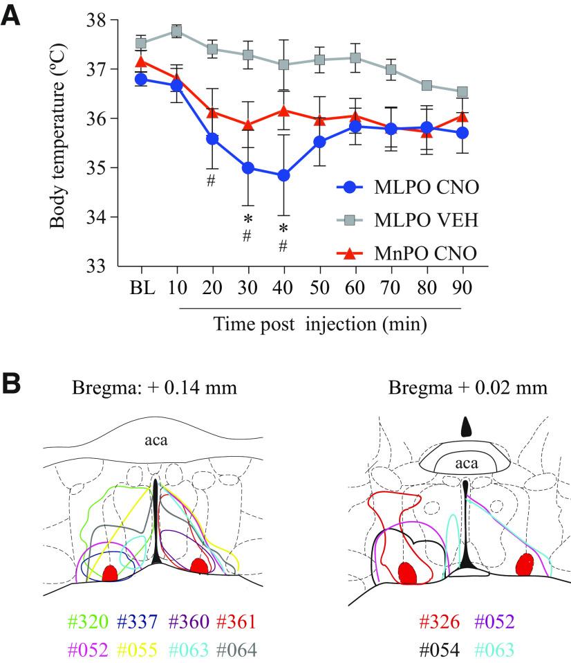 https://cdn.ncbi.nlm.nih.gov/pmc/blobs/4363/8051693/155904dfd631/SN-JNSJ210149F006.jpg