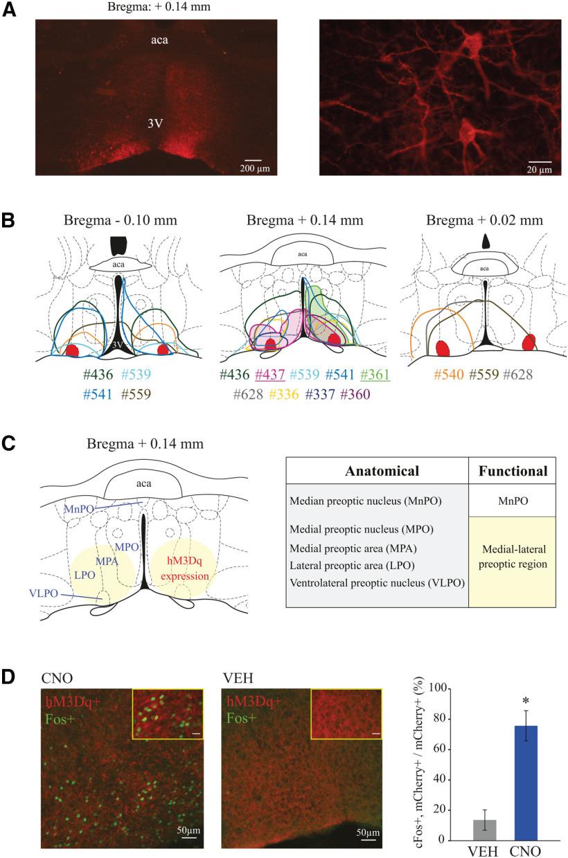 https://cdn.ncbi.nlm.nih.gov/pmc/blobs/4363/8051693/36d8df88e307/SN-JNSJ210149F001.jpg