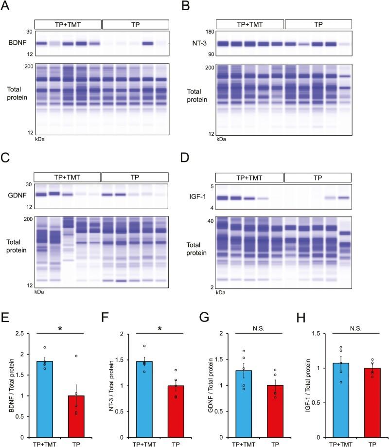 https://cdn.ncbi.nlm.nih.gov/pmc/blobs/4363/9985116/431419bbc1ff/szac089f0006.jpg