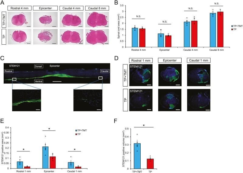 https://cdn.ncbi.nlm.nih.gov/pmc/blobs/4363/9985116/45c8a5d38728/szac089f0002.jpg
