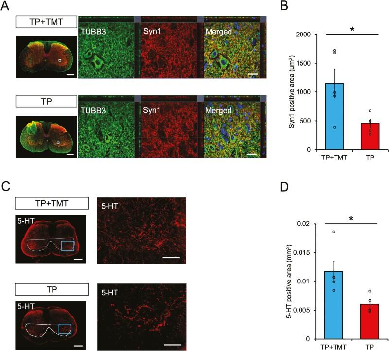 https://cdn.ncbi.nlm.nih.gov/pmc/blobs/4363/9985116/532861ff39d7/szac089f0005.jpg