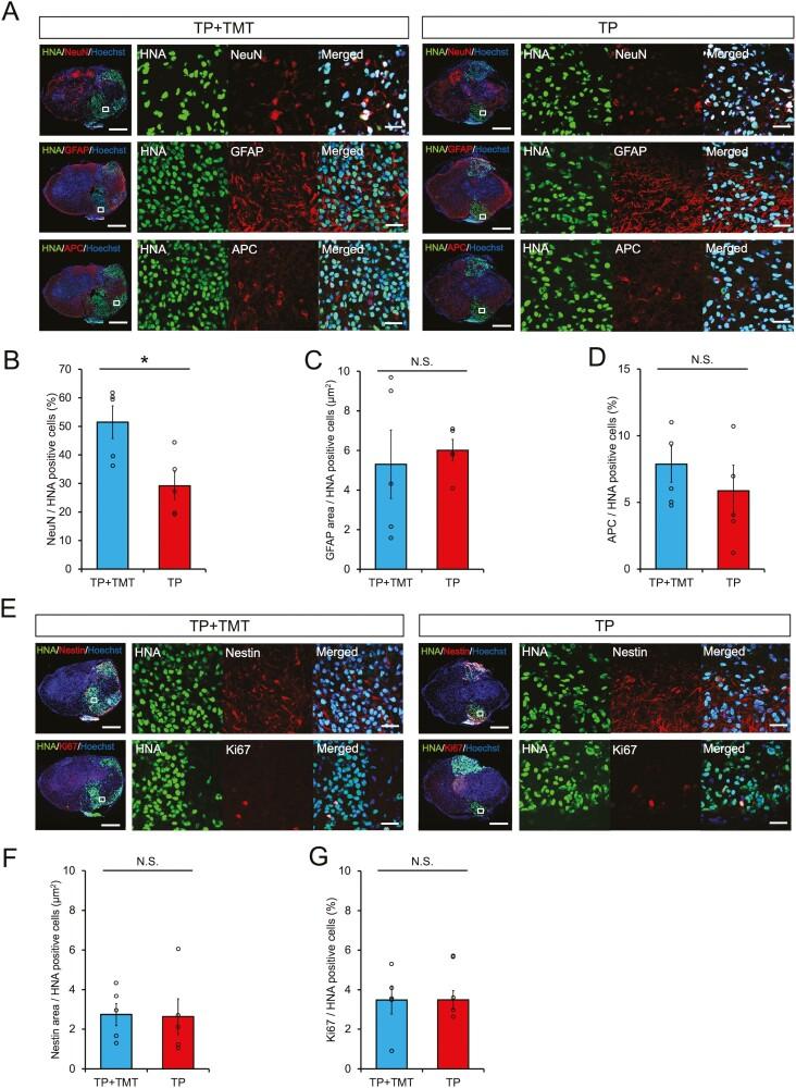 https://cdn.ncbi.nlm.nih.gov/pmc/blobs/4363/9985116/f2be9e867418/szac089f0003.jpg