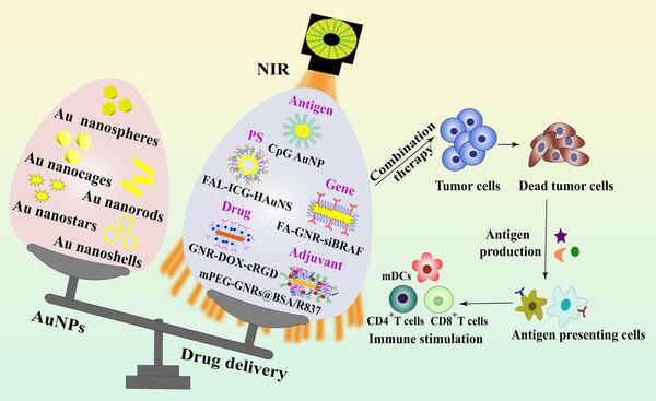 https://cdn.ncbi.nlm.nih.gov/pmc/blobs/4364/8822595/f2f4cd5d4d0a/CAC2-42-141-g005.jpg