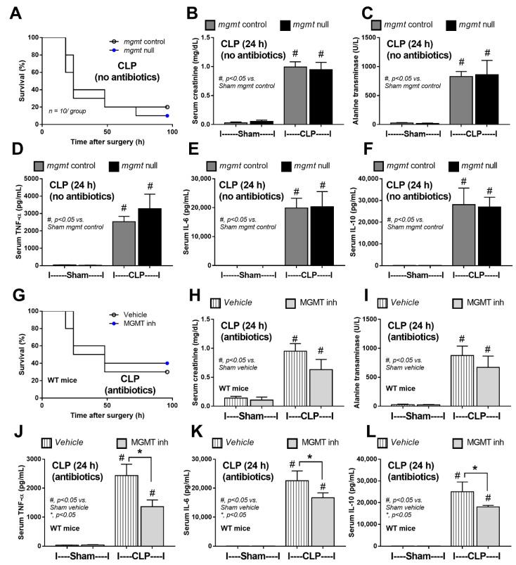 https://cdn.ncbi.nlm.nih.gov/pmc/blobs/4367/10299382/18be9c6b5b4f/ijms-24-10175-g007.jpg