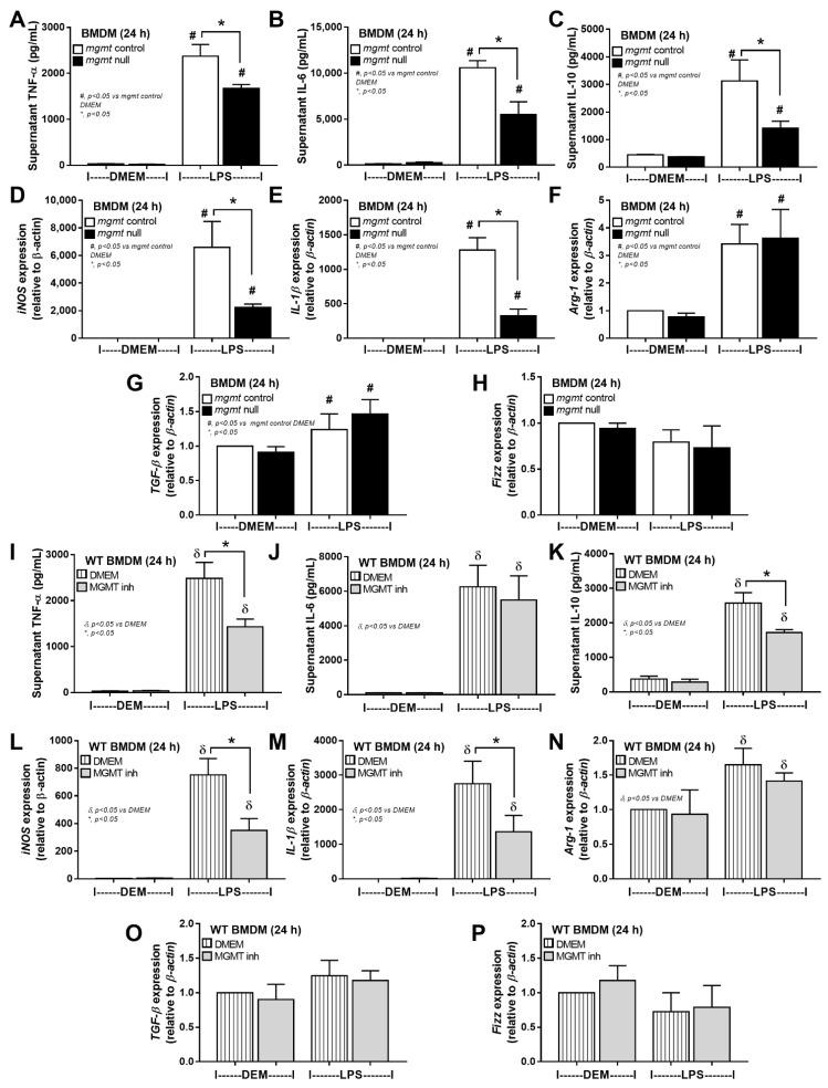 https://cdn.ncbi.nlm.nih.gov/pmc/blobs/4367/10299382/5cb91c1d6a99/ijms-24-10175-g003.jpg