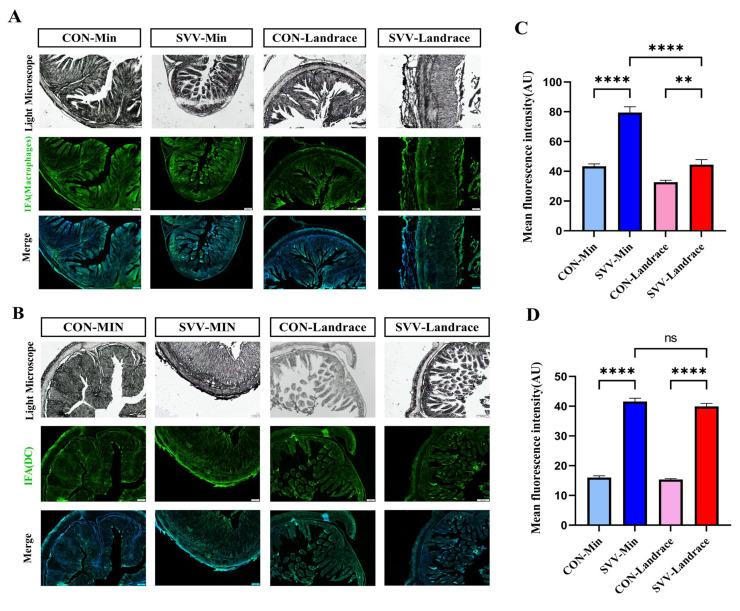 https://cdn.ncbi.nlm.nih.gov/pmc/blobs/4367/12429855/4f5493d9e679/ijms-26-08746-g005.jpg