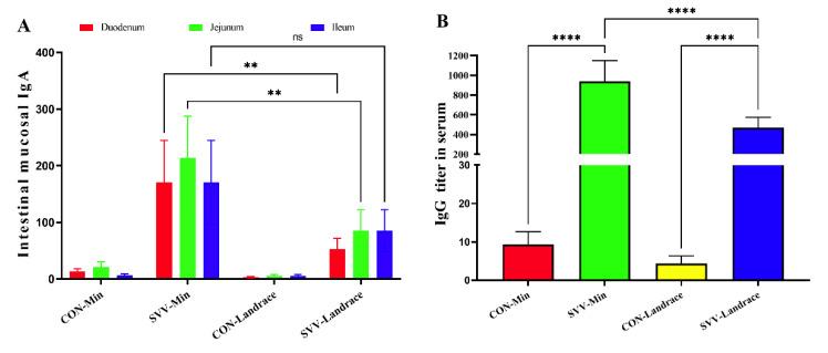 https://cdn.ncbi.nlm.nih.gov/pmc/blobs/4367/12429855/7898bfcfde3a/ijms-26-08746-g003.jpg