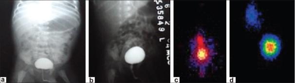 https://cdn.ncbi.nlm.nih.gov/pmc/blobs/4367/2809455/cd0ad09cd858/JIAPS-14-15-g001.jpg