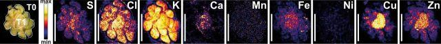 https://cdn.ncbi.nlm.nih.gov/pmc/blobs/4367/5634060/54021e517fe5/ieu014f2p.jpg