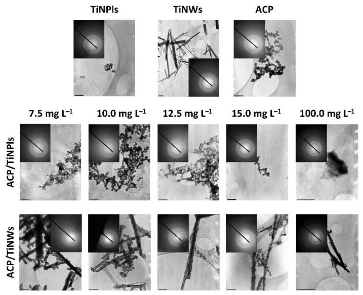 https://cdn.ncbi.nlm.nih.gov/pmc/blobs/4368/8230063/44ae2a121fc4/nanomaterials-11-01523-g004.jpg