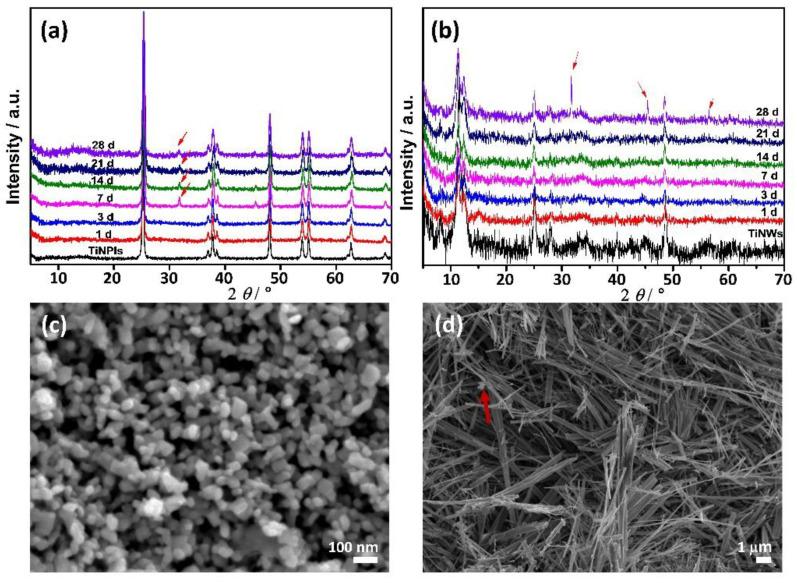 https://cdn.ncbi.nlm.nih.gov/pmc/blobs/4368/8230063/9525f96d9568/nanomaterials-11-01523-g003.jpg
