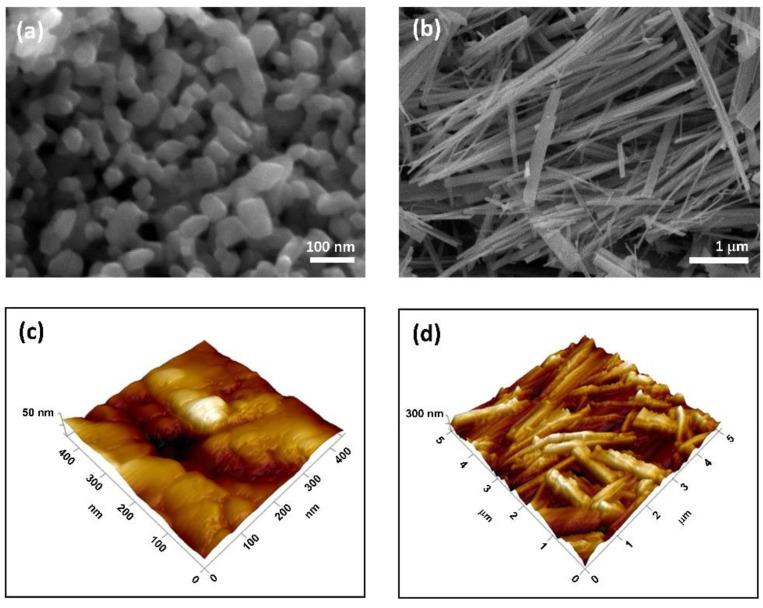 https://cdn.ncbi.nlm.nih.gov/pmc/blobs/4368/8230063/bdbe21838d3b/nanomaterials-11-01523-g002.jpg