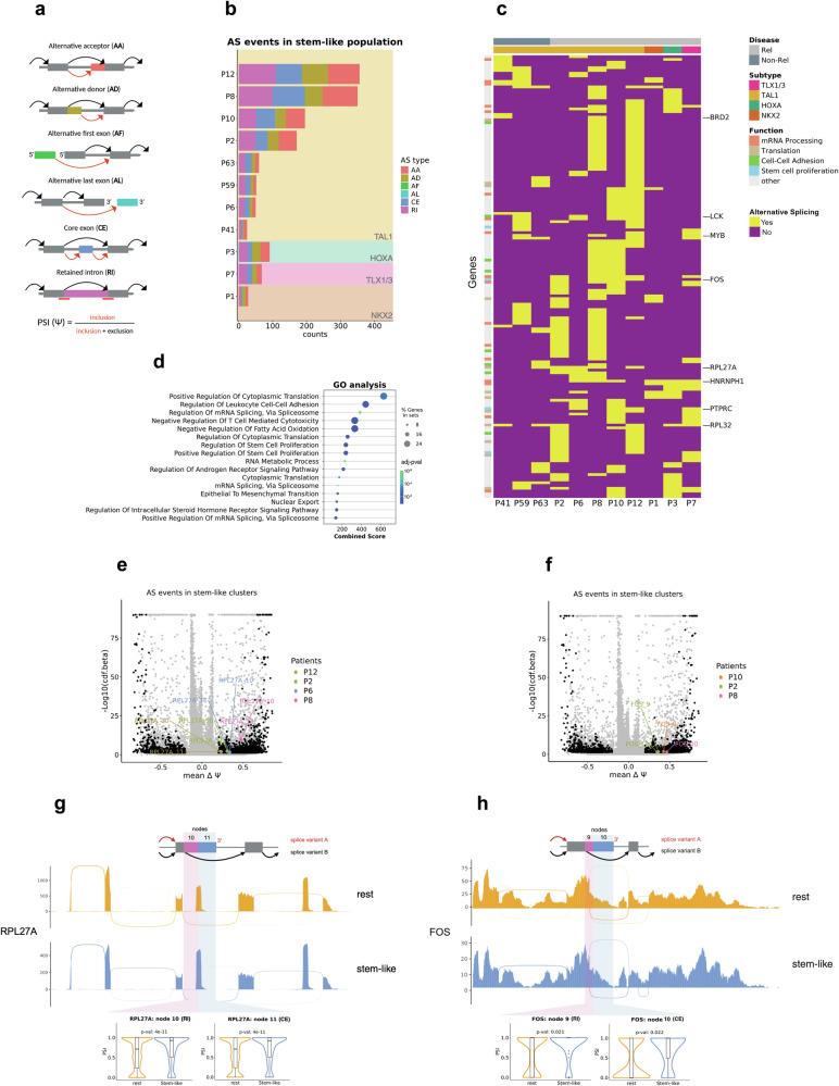 https://cdn.ncbi.nlm.nih.gov/pmc/blobs/4369/12205070/45382ed4ee06/41467_2025_61222_Fig4_HTML.jpg