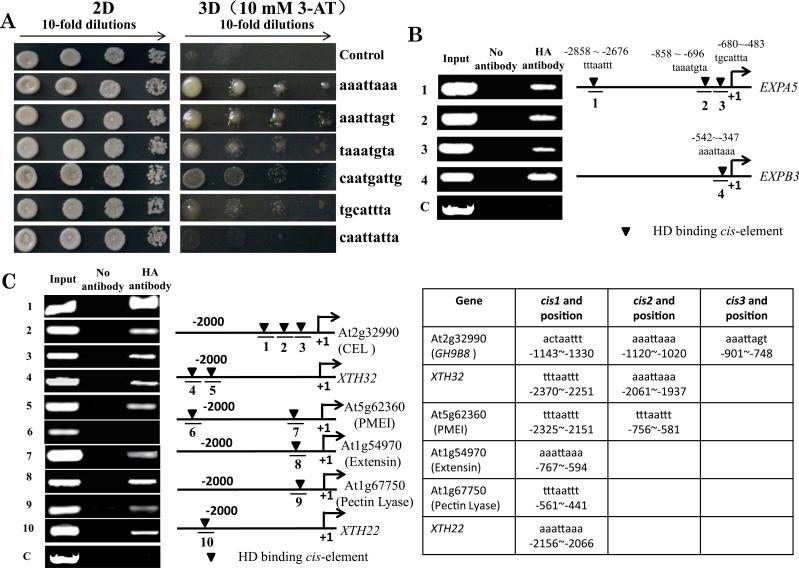 https://cdn.ncbi.nlm.nih.gov/pmc/blobs/4369/4112634/9ebe31cc1edf/exbotj_eru202_f0003.jpg