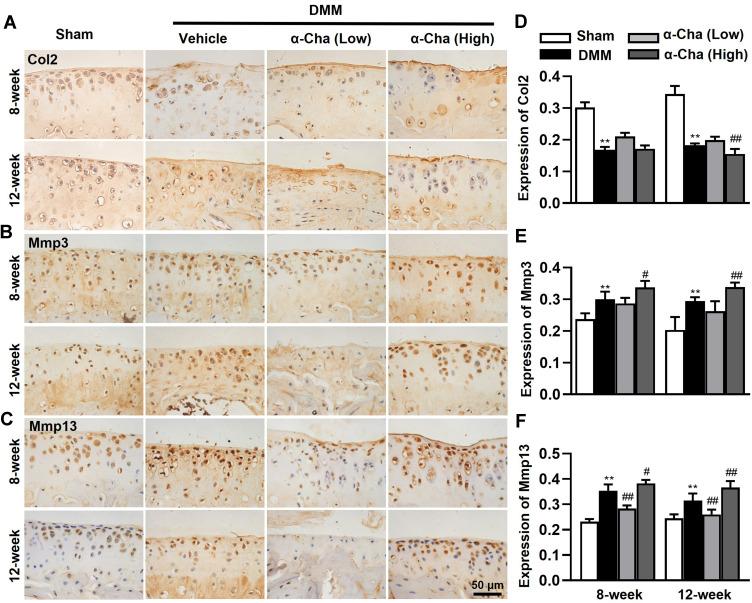 https://cdn.ncbi.nlm.nih.gov/pmc/blobs/4369/9574566/ae02e52760a2/JIR-15-5873-g0004.jpg