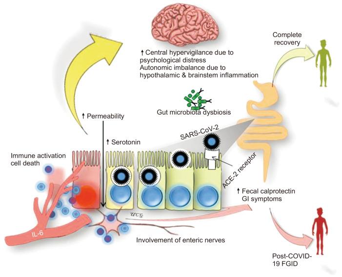 https://cdn.ncbi.nlm.nih.gov/pmc/blobs/436d/9099396/8c5874ebf95a/gnl-16-3-331-f1.jpg