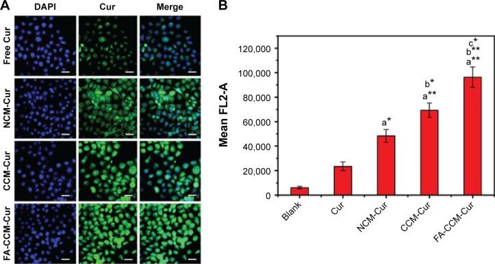 https://cdn.ncbi.nlm.nih.gov/pmc/blobs/436f/4807950/a013d67cdeb1/ijn-11-1119Fig7.jpg
