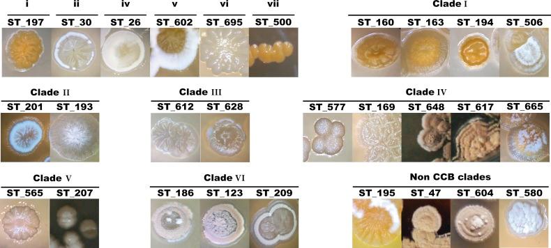 https://cdn.ncbi.nlm.nih.gov/pmc/blobs/4371/5417069/2ee556895b53/peerj-05-3247-g004.jpg