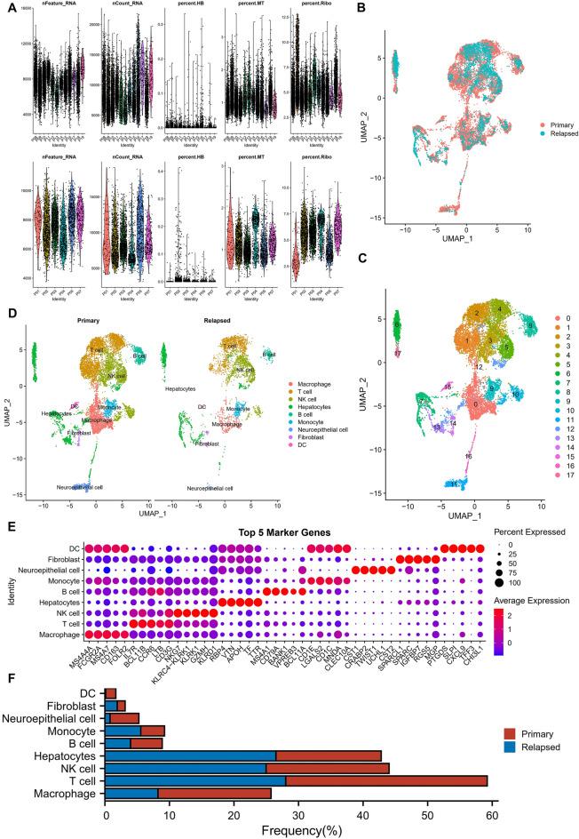 https://cdn.ncbi.nlm.nih.gov/pmc/blobs/4372/11133315/f0dbefc34604/41598_2024_62668_Fig1_HTML.jpg