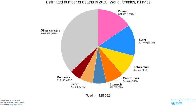 https://cdn.ncbi.nlm.nih.gov/pmc/blobs/4372/9926372/6f2656ad626d/10.1177_2050313X231154996-fig2.jpg