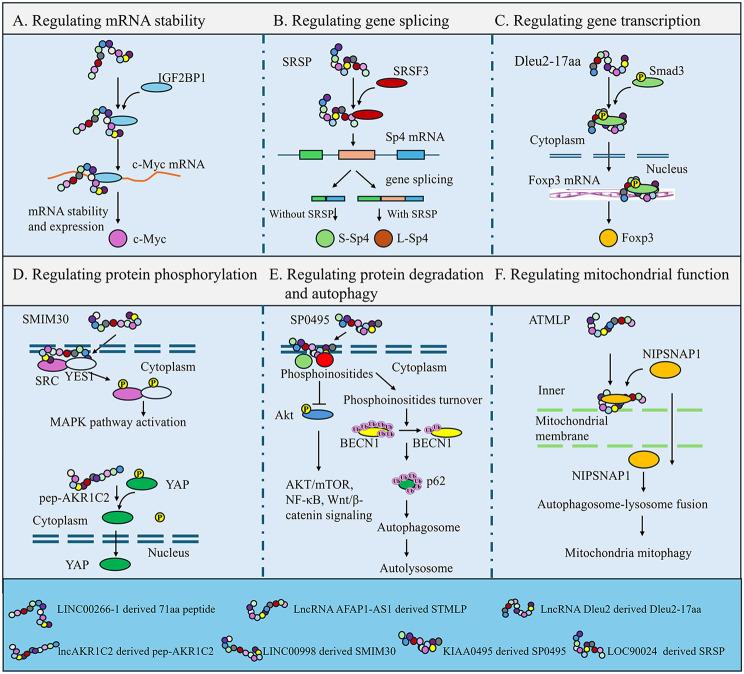 https://cdn.ncbi.nlm.nih.gov/pmc/blobs/4373/11441268/4b69c73ac980/12943_2024_2131_Fig2_HTML.jpg