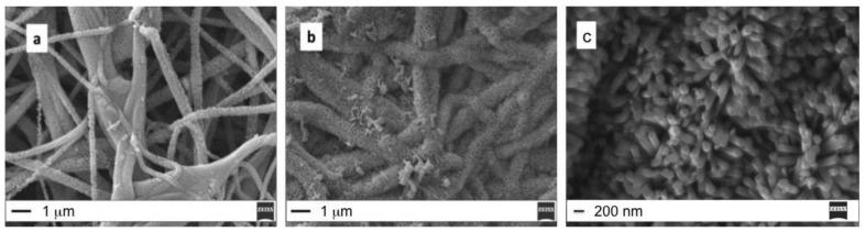 https://cdn.ncbi.nlm.nih.gov/pmc/blobs/4373/7180436/092f1db10078/molecules-25-01696-g002.jpg