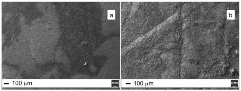 https://cdn.ncbi.nlm.nih.gov/pmc/blobs/4373/7180436/eb297d298118/molecules-25-01696-g006.jpg