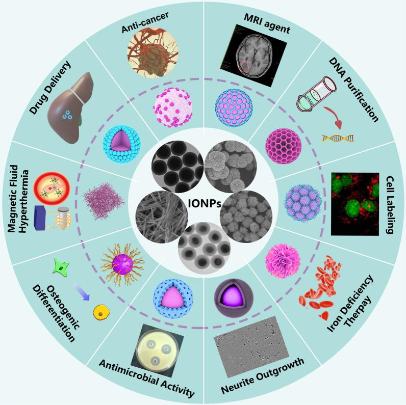 https://cdn.ncbi.nlm.nih.gov/pmc/blobs/4374/10775472/a78d6bc536d4/12951_2023_2235_Fig1_HTML.jpg