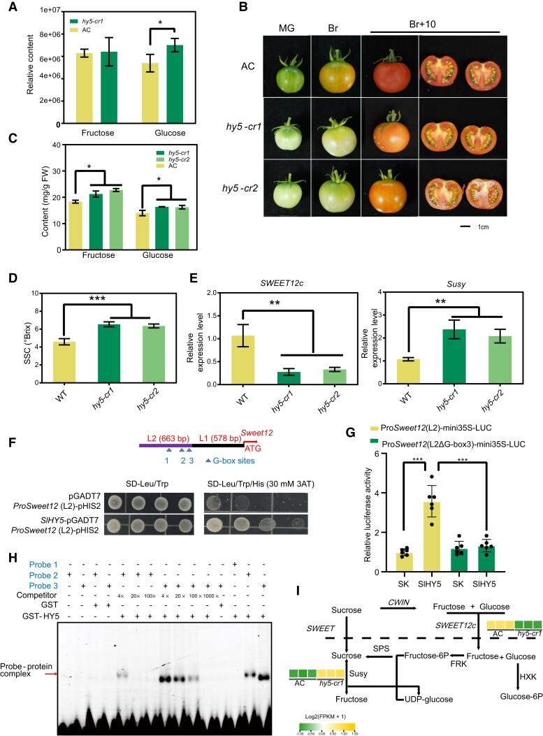 https://cdn.ncbi.nlm.nih.gov/pmc/blobs/4379/11213253/ef8388318b6f/kiae195f7.jpg