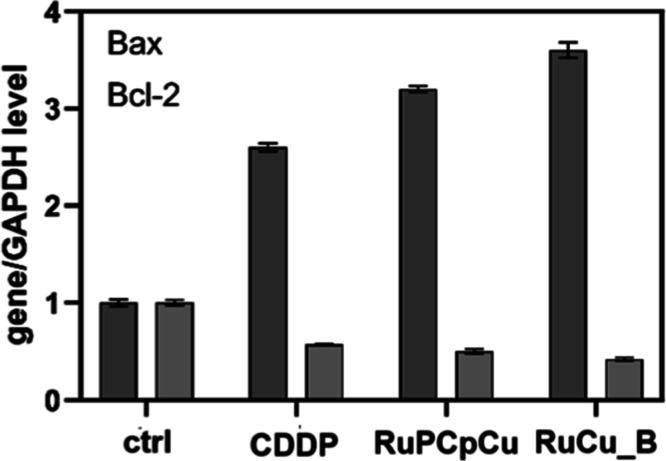 https://cdn.ncbi.nlm.nih.gov/pmc/blobs/437f/12305496/ebbd2eaa5c21/jm5c00486_0006.jpg
