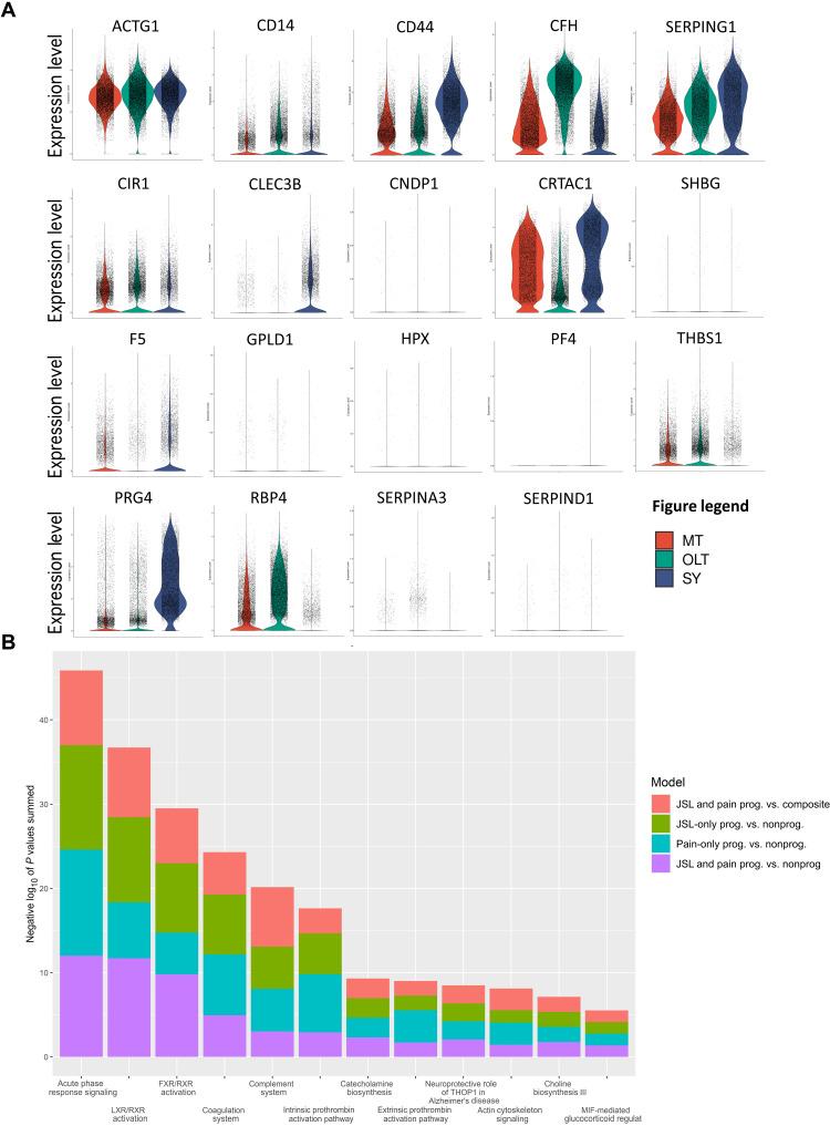 https://cdn.ncbi.nlm.nih.gov/pmc/blobs/4380/9876540/4b654c62c977/sciadv.abq5095-f5.jpg