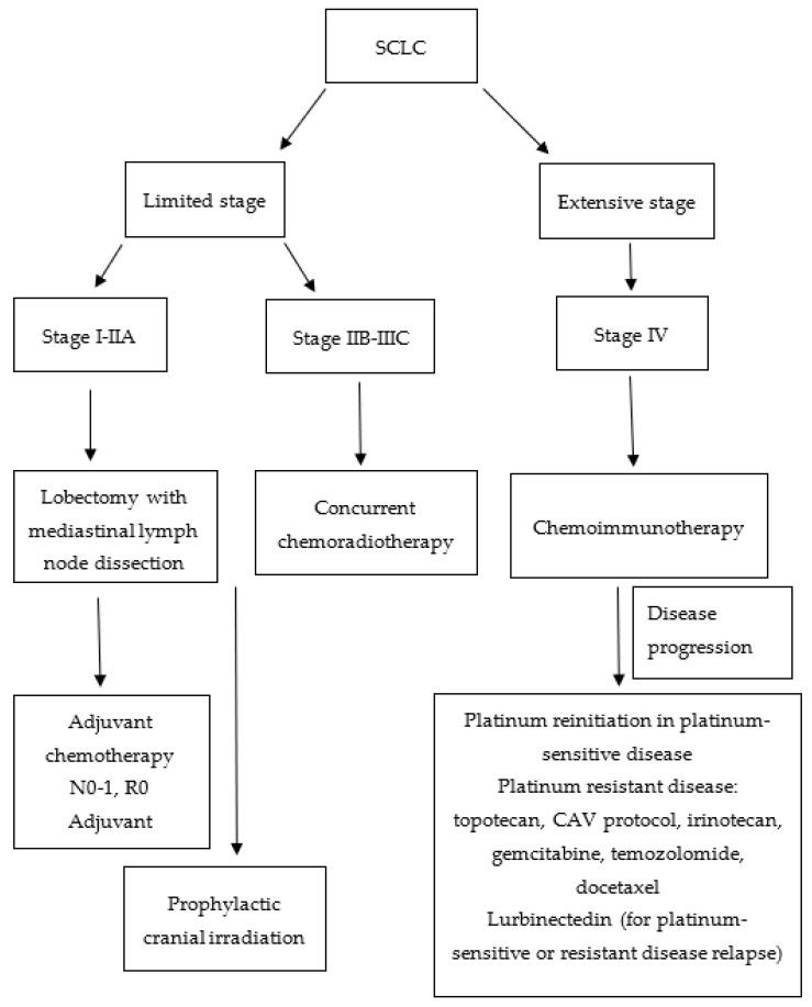 https://cdn.ncbi.nlm.nih.gov/pmc/blobs/4381/10377361/417e465fd8f1/biomedicines-11-01982-g002.jpg