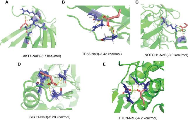 https://cdn.ncbi.nlm.nih.gov/pmc/blobs/4387/9275827/a1b8ca27c0a4/fonc-12-809772-g013.jpg