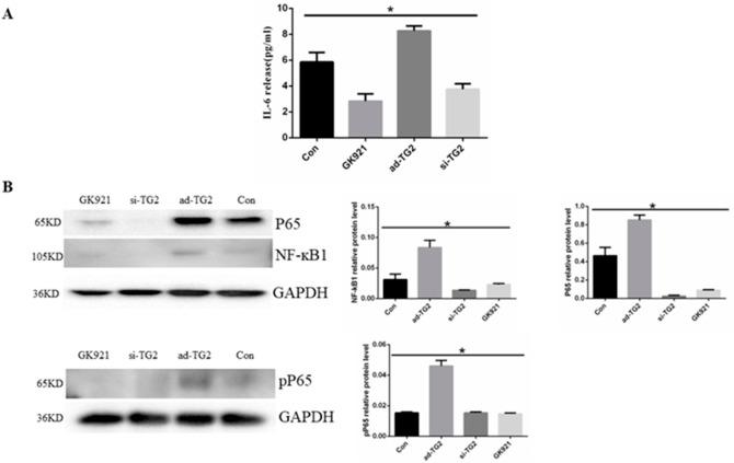 https://cdn.ncbi.nlm.nih.gov/pmc/blobs/4389/11625581/03d807b3ce01/fphar-15-1393534-g003.jpg