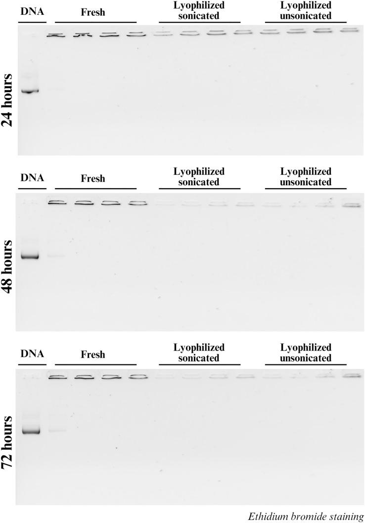 https://cdn.ncbi.nlm.nih.gov/pmc/blobs/438c/11771301/41df0d171956/peerj-13-18750-g002.jpg