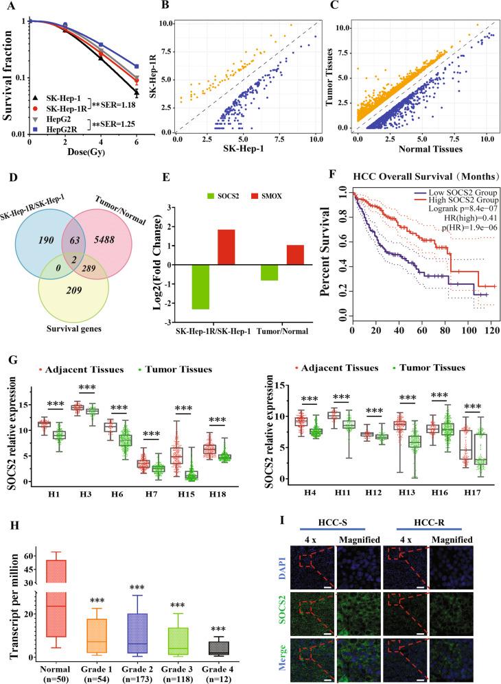 https://cdn.ncbi.nlm.nih.gov/pmc/blobs/438c/9883449/97adfe7728dc/41418_2022_1051_Fig1_HTML.jpg