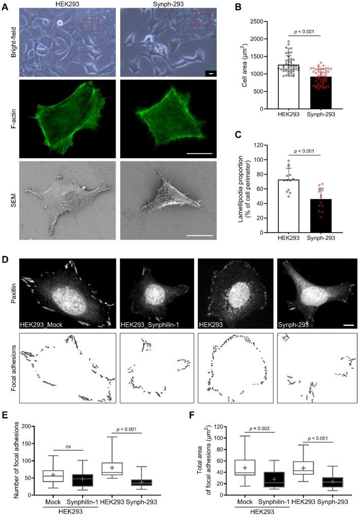 https://cdn.ncbi.nlm.nih.gov/pmc/blobs/438d/12076907/d4494f18ae5f/12951_2025_3429_Fig1_HTML.jpg