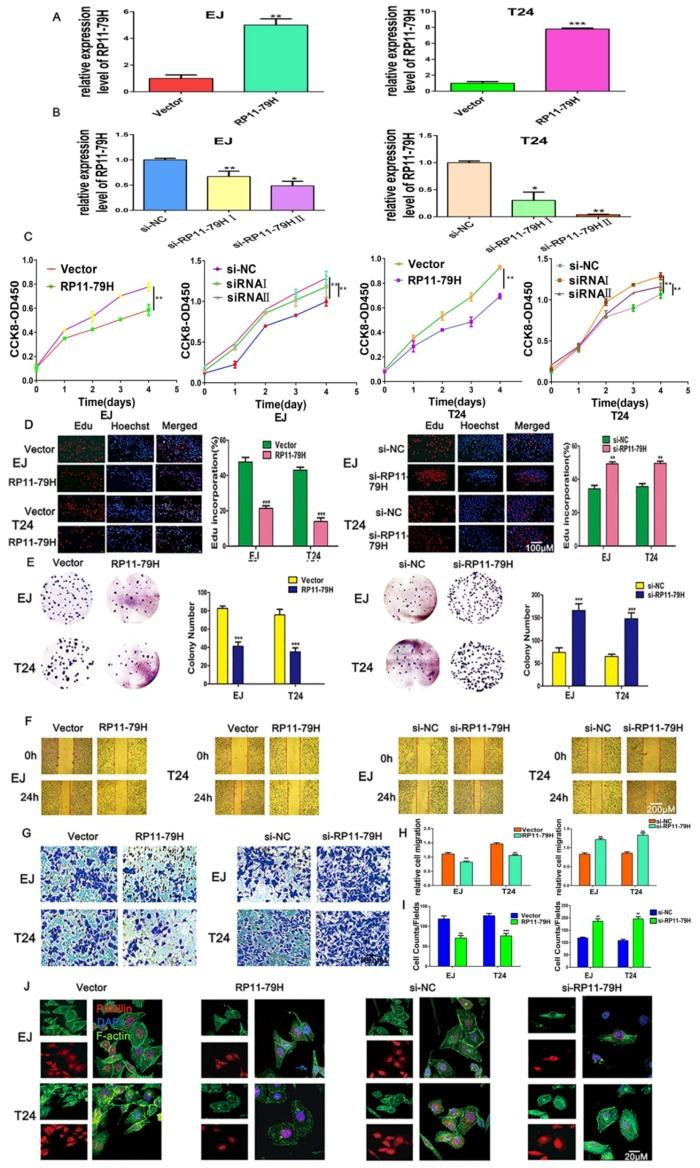 https://cdn.ncbi.nlm.nih.gov/pmc/blobs/438d/6163378/4039731dd78c/ijms-19-02531-g002.jpg