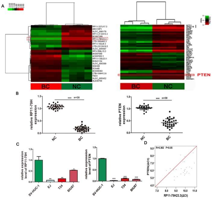 https://cdn.ncbi.nlm.nih.gov/pmc/blobs/438d/6163378/8ba57c625fa8/ijms-19-02531-g001.jpg