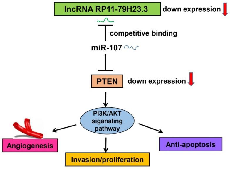 https://cdn.ncbi.nlm.nih.gov/pmc/blobs/438d/6163378/9d4a193898cd/ijms-19-02531-g008.jpg