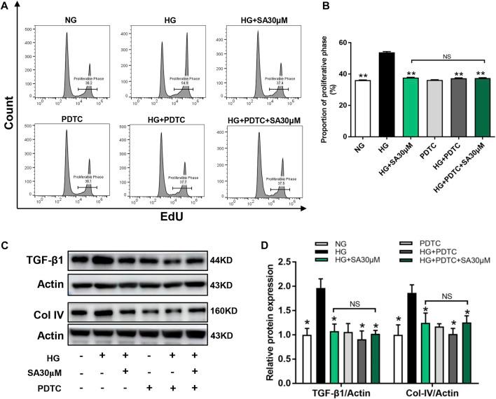 https://cdn.ncbi.nlm.nih.gov/pmc/blobs/438e/9426375/b1528808732c/fphar-13-953004-g006.jpg