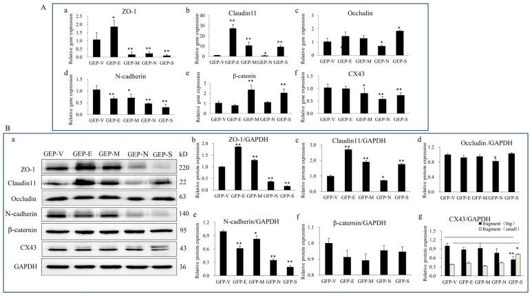 https://cdn.ncbi.nlm.nih.gov/pmc/blobs/4390/10304867/4afbdd9c021c/viruses-15-01272-g002.jpg