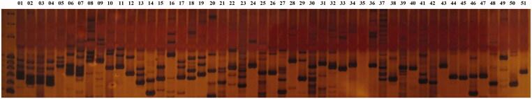 https://cdn.ncbi.nlm.nih.gov/pmc/blobs/4394/8409960/6fb8f5d77a49/TMYB_A_1954321_F0004_C.jpg