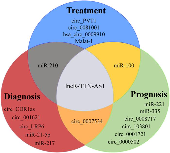 https://cdn.ncbi.nlm.nih.gov/pmc/blobs/4394/9627036/4751ab8f4cd8/fgene-13-1028477-g003.jpg