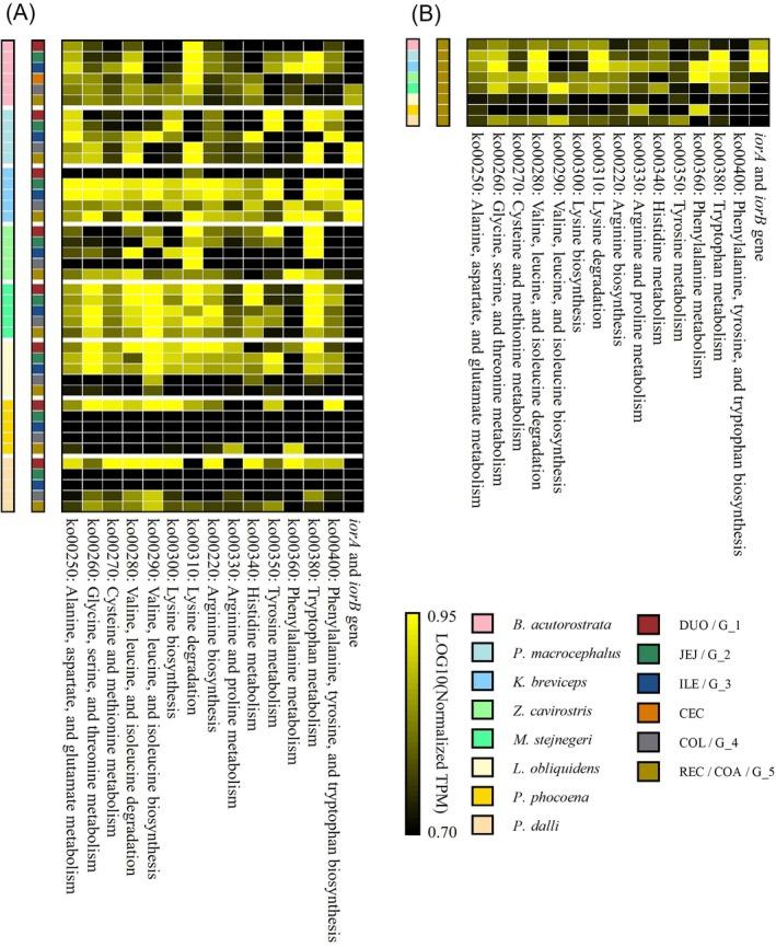 https://cdn.ncbi.nlm.nih.gov/pmc/blobs/4396/12334365/1146d91fa17a/ECE3-15-e71910-g003.jpg