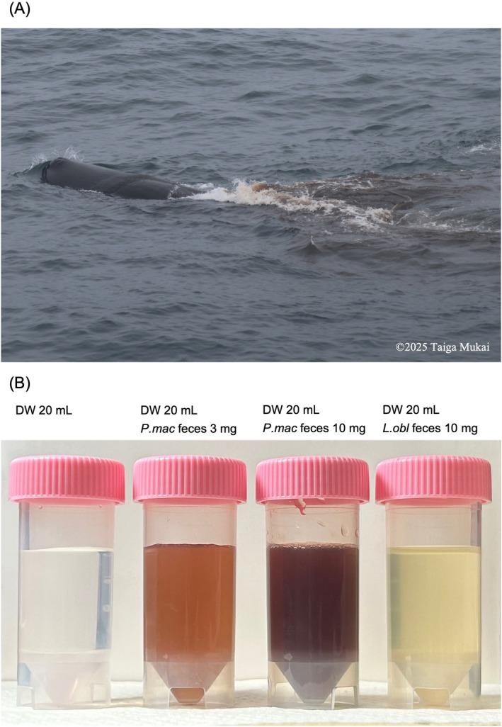 https://cdn.ncbi.nlm.nih.gov/pmc/blobs/4396/12334365/e6a629425575/ECE3-15-e71910-g002.jpg