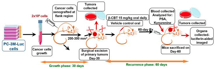https://cdn.ncbi.nlm.nih.gov/pmc/blobs/4396/9003379/13a6f99150a3/nutrients-14-01505-g005.jpg