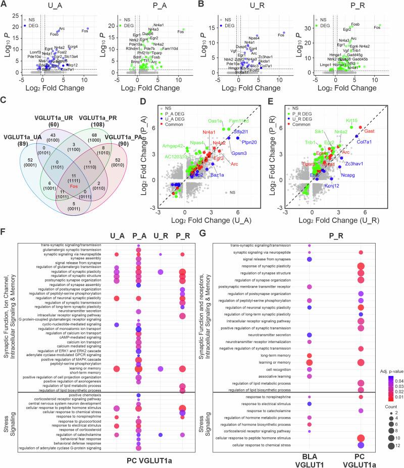 https://cdn.ncbi.nlm.nih.gov/pmc/blobs/4397/12130327/97778fcf38b0/42003_2025_8287_Fig7_HTML.jpg