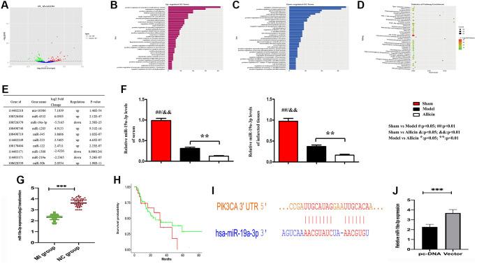 https://cdn.ncbi.nlm.nih.gov/pmc/blobs/4399/8544308/6fb9d803108e/aging-13-203578-g004.jpg