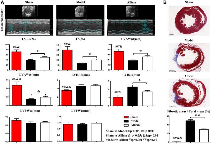 https://cdn.ncbi.nlm.nih.gov/pmc/blobs/4399/8544308/b3104fdd2e3e/aging-13-203578-g001.jpg
